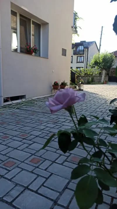 Infinity Boutique Apartments