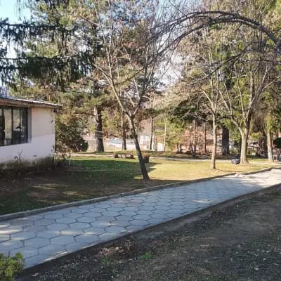 СВЕТА АННА