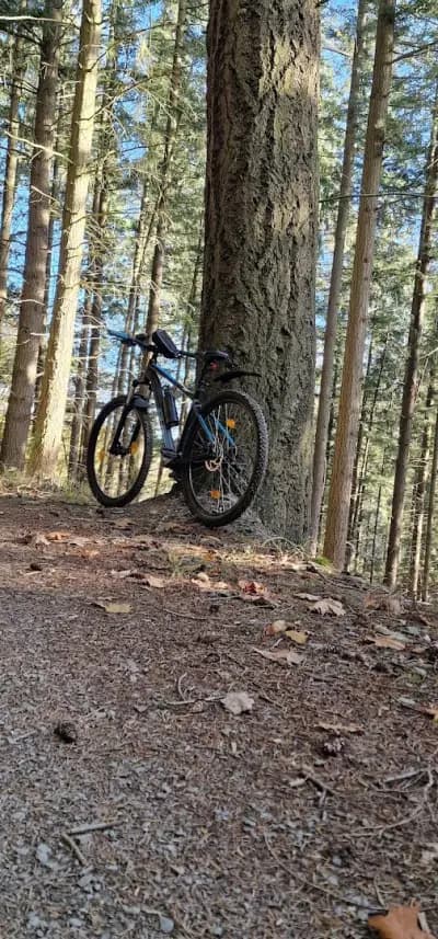 Bike Center Плевен