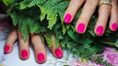 Manicure and pedicure salon Pero