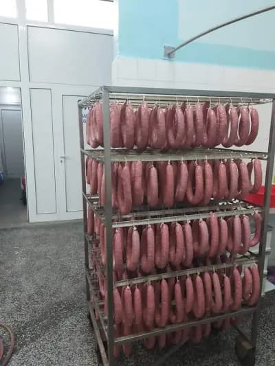 Ранкар Калековец