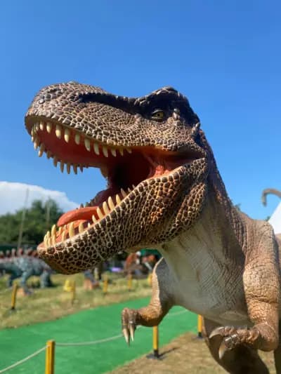 DinoPark + trampolines and games for children