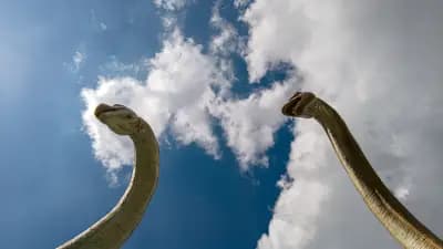 DinoPark + trampolines and games for children