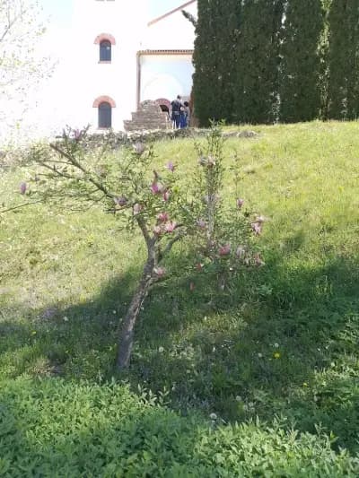 Основно училище „Георги Стойков Раковски“ с. Бързия