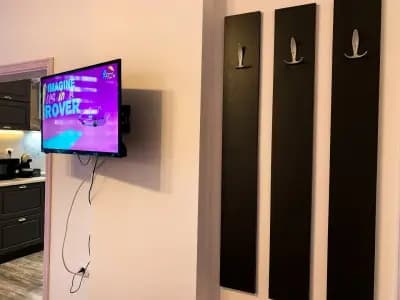 Purple StudioS