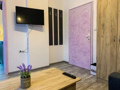 Purple StudioS
