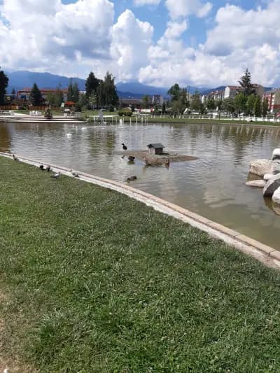 Крайискърец