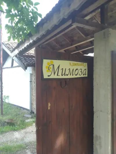Комплекс Мимоза