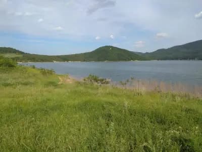 Комплекс Мимоза