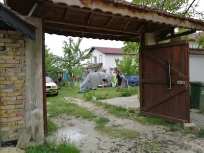Комплекс Мимоза