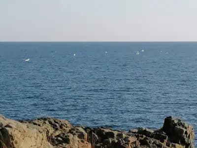 Апарт комплекс Буджака