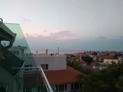 DebiMar