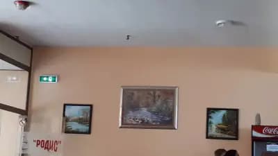 "Родис"