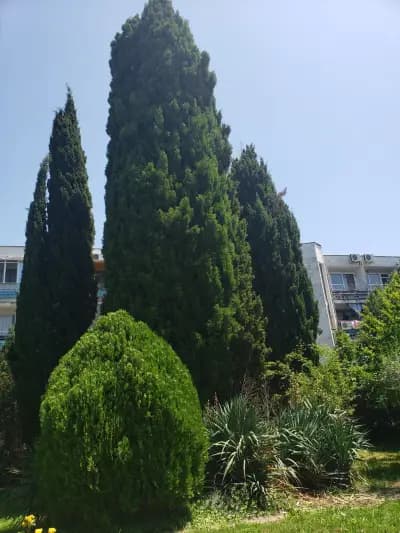 Family Hotel Magnolia