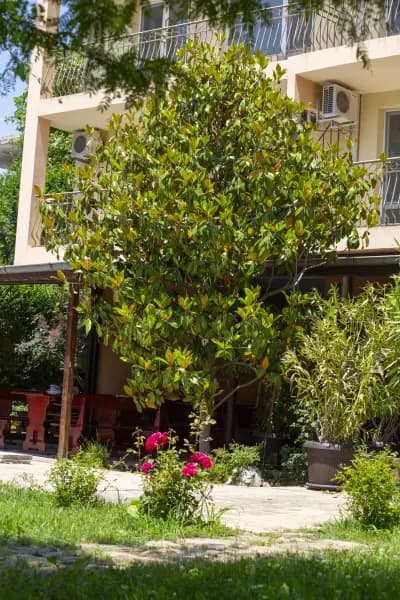 Family Hotel Magnolia