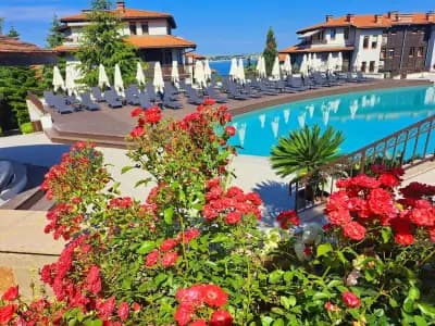 DreamBG Apartments
