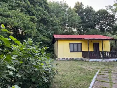 Морска База Венера
