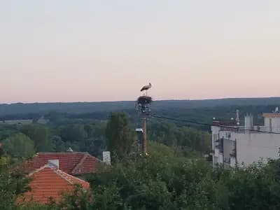 Вила Резос