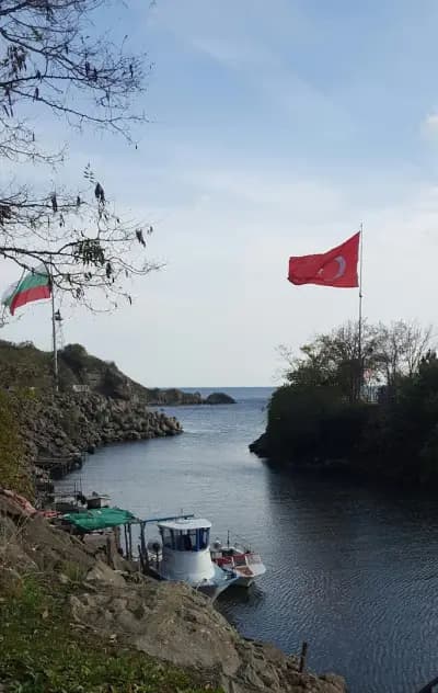 Маврови