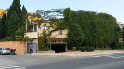 Кипарисите