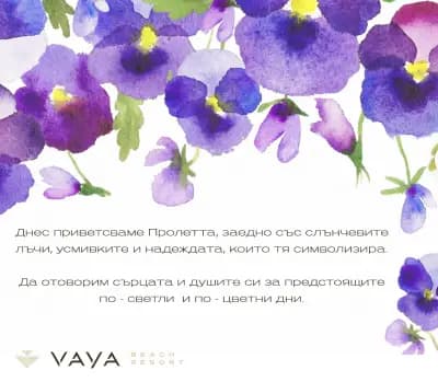 Vaya Beach Resort