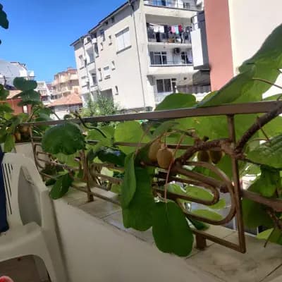Family hotel Andreev / Семеен хотел Андреев