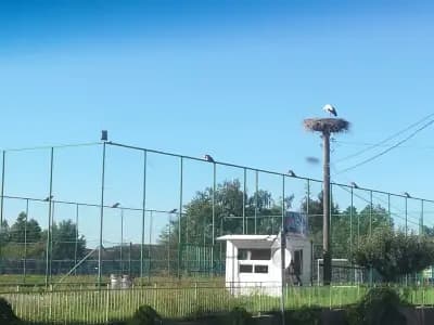 хранителен магазин "Здравец"