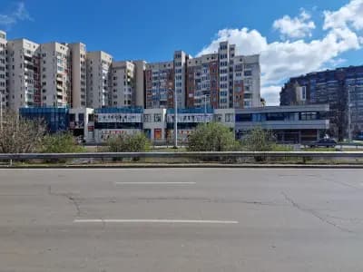 Яна Мол