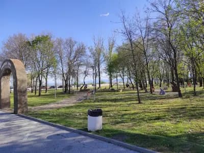 Приказната гора