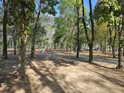 Приказната гора