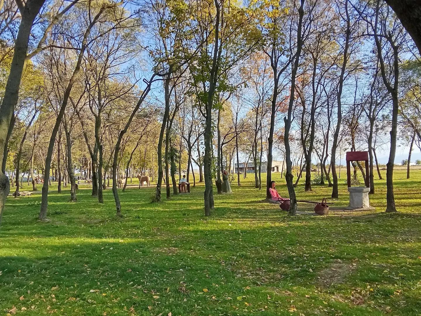 Приказната гора