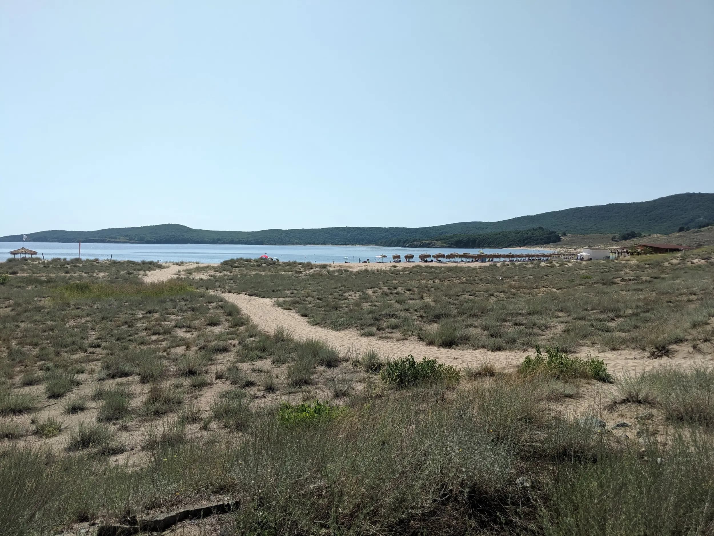 Флора / Соул