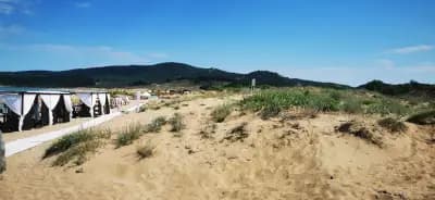 Флора / Соул