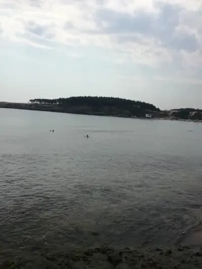 Бар Памперо