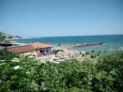 Синева Парк