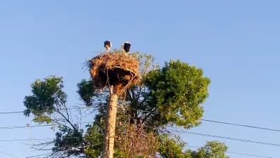 Свиленград