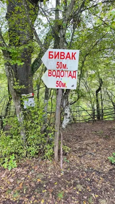 Пиринешки джeндем