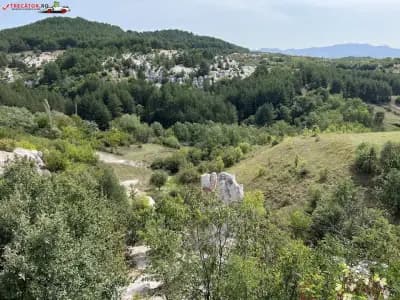 Каменната сватба