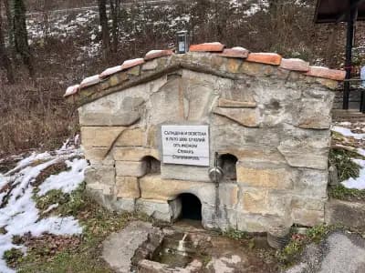 Минерален извор "Вонеща вода"