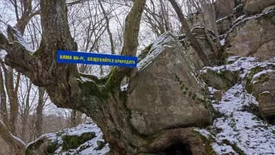 Иваниловски водопад