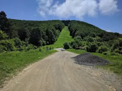 Даулите