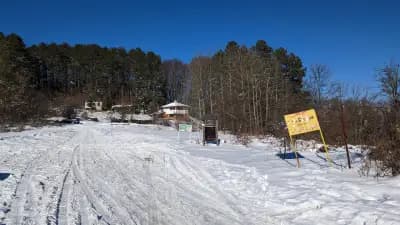 Даулите