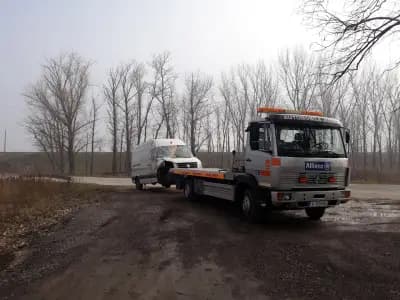 Лайф