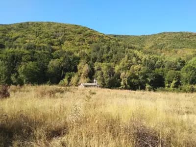 Снимачна площадка на Бояна Филмс, "Скъпи Наследници"