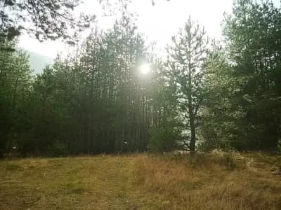 Разклона между Боровец и Мальовица