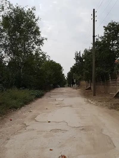 Бар Барни