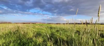 Спортен риболов Село Чоба