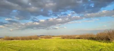 Спортен риболов Село Чоба