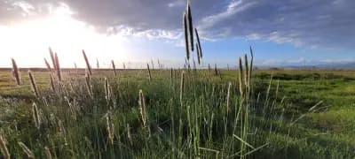 Спортен риболов Село Чоба