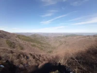 Виканата скала